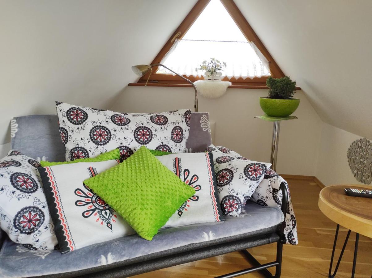 Loft Folk Apartament זקופאנה מראה חיצוני תמונה