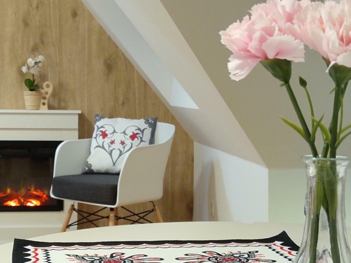 Loft Folk Apartament זקופאנה מראה חיצוני תמונה