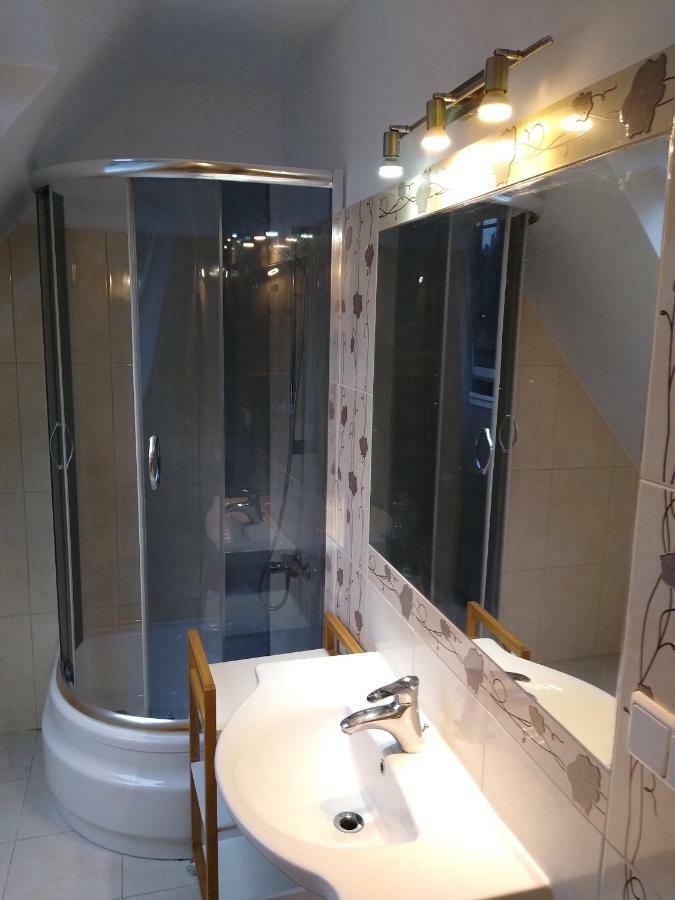 Loft Folk Apartament זקופאנה מראה חיצוני תמונה