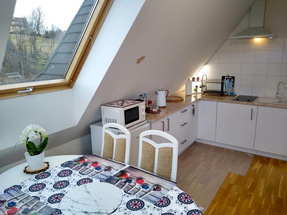 Loft Folk Apartament זקופאנה מראה חיצוני תמונה