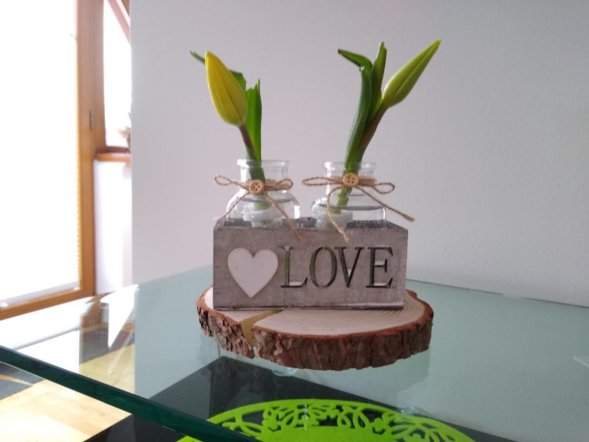 Loft Folk Apartament זקופאנה מראה חיצוני תמונה